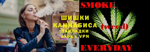 сатива Аркадак
