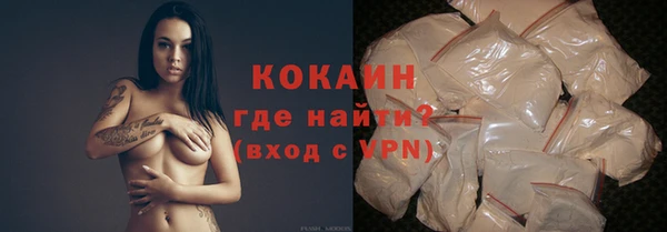 сатива Балахна