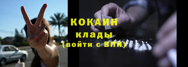 сатива Аркадак