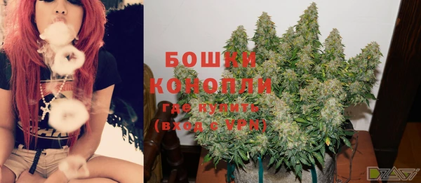 сатива Аркадак