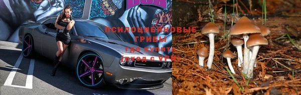тгк Сатка