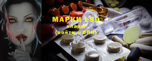 сатива Аркадак