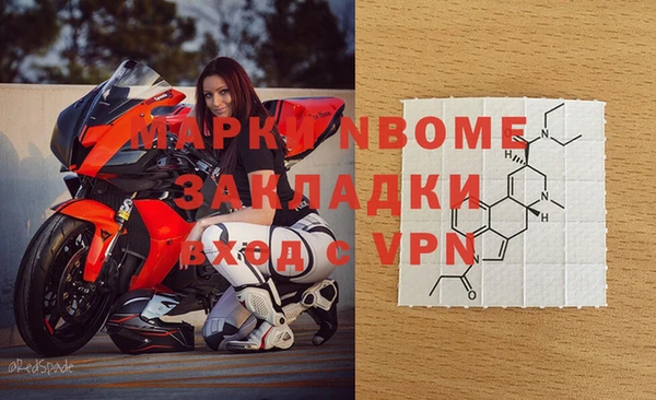 сатива Аркадак