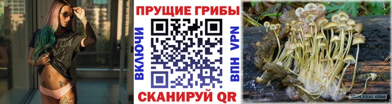 Галлюциногенные грибы мицелий  Уржум 