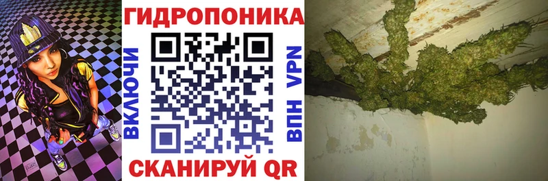 Конопля план  Уржум 